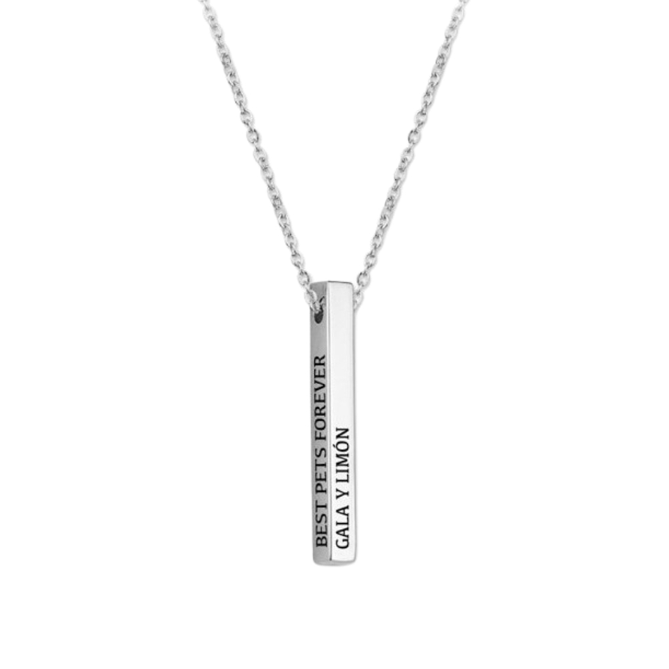 Gargantilla de lingote personalizada cuatro caras plata 1