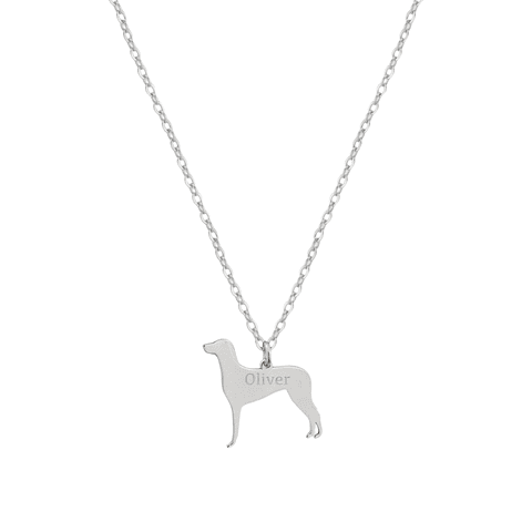 Gargantilla de perro braco de weimar personalizada 