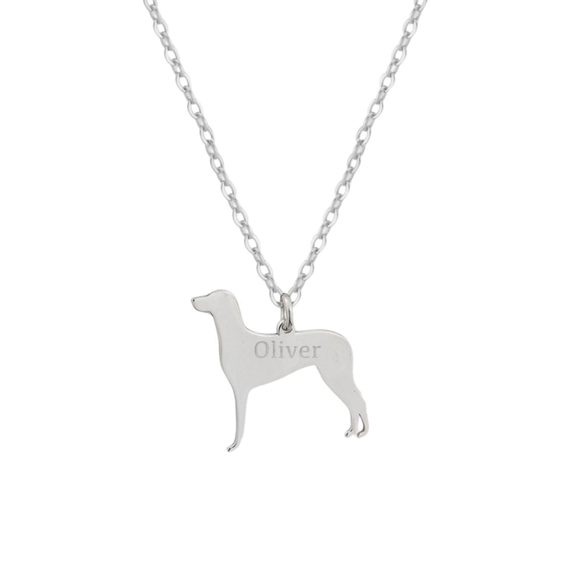 Gargantilla de perro braco de weimar personalizada  1