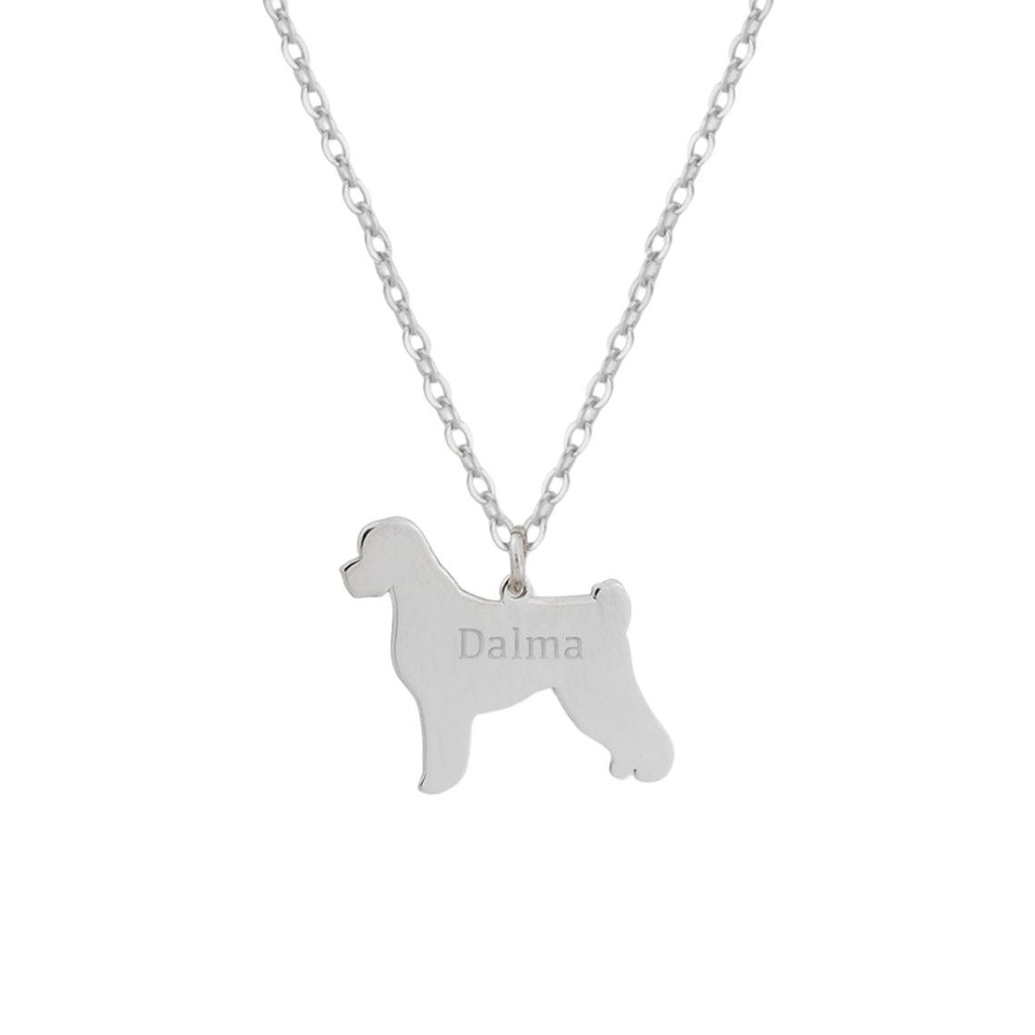 Gargantilla perro de agua personalizada  1