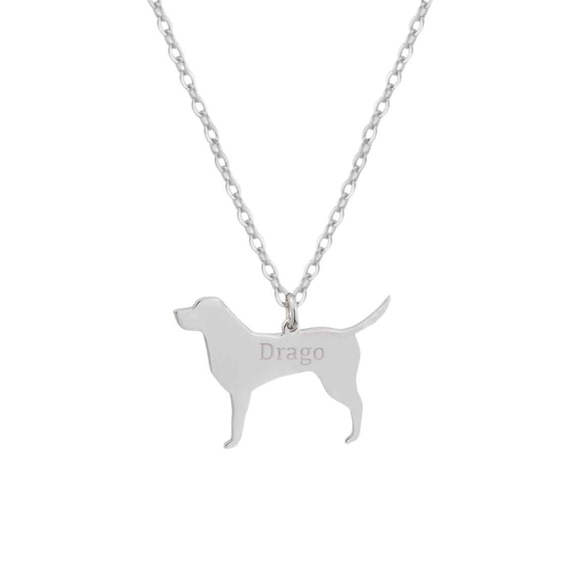 Gargantilla de perro labrador personalizada 1