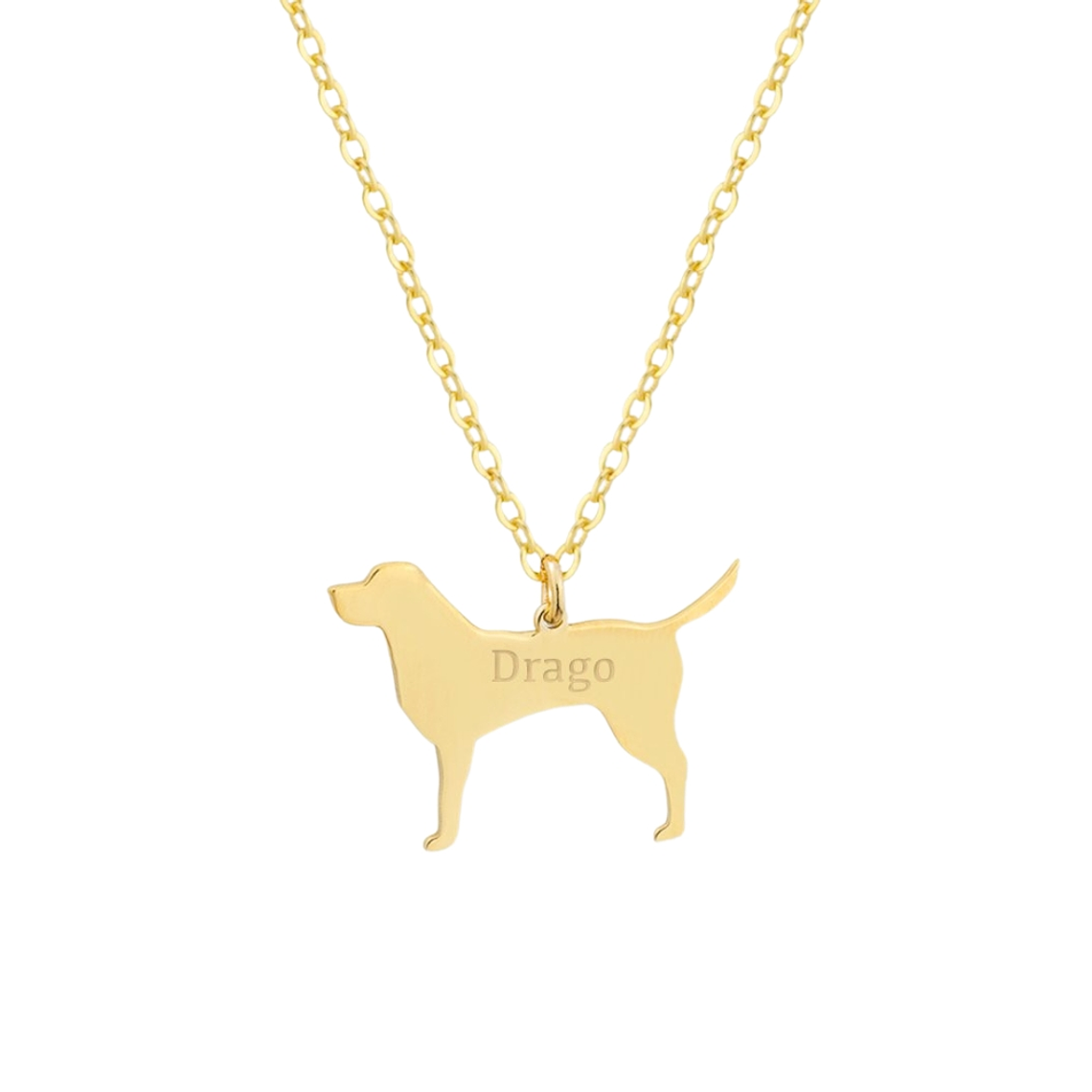 Gargantilla de perro labrador personalizada con baño de oro  1