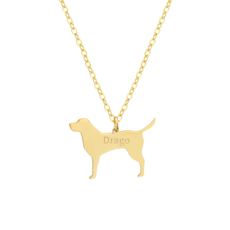 Gargantilla de perro labrador personalizada con baño de oro  1