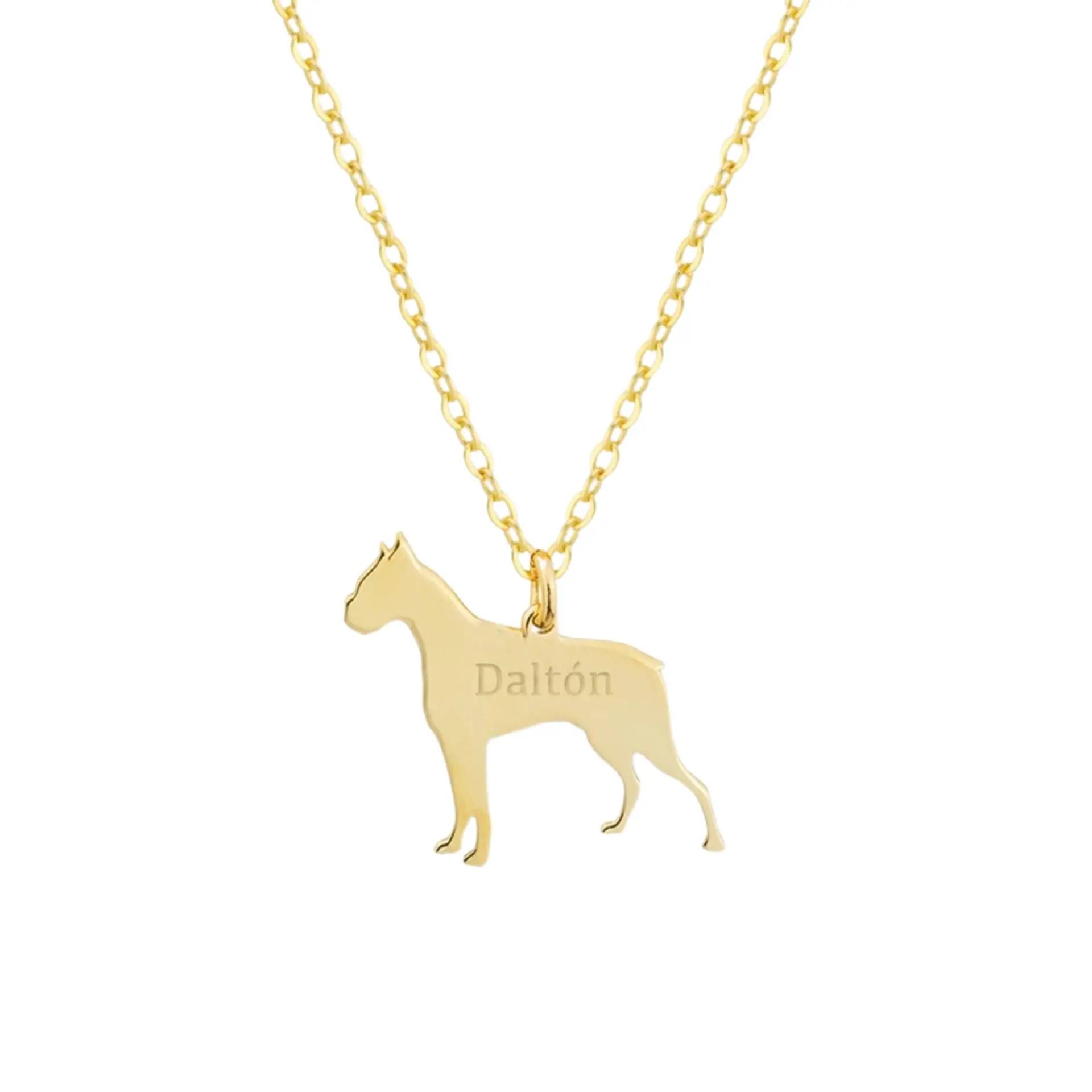Gargantilla de perro boxer personalizada con baño de oro 1