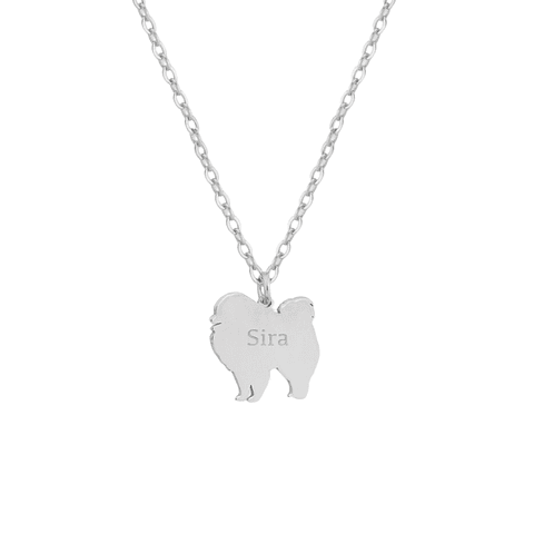 Gargantilla de perro pomerania personalizada plata