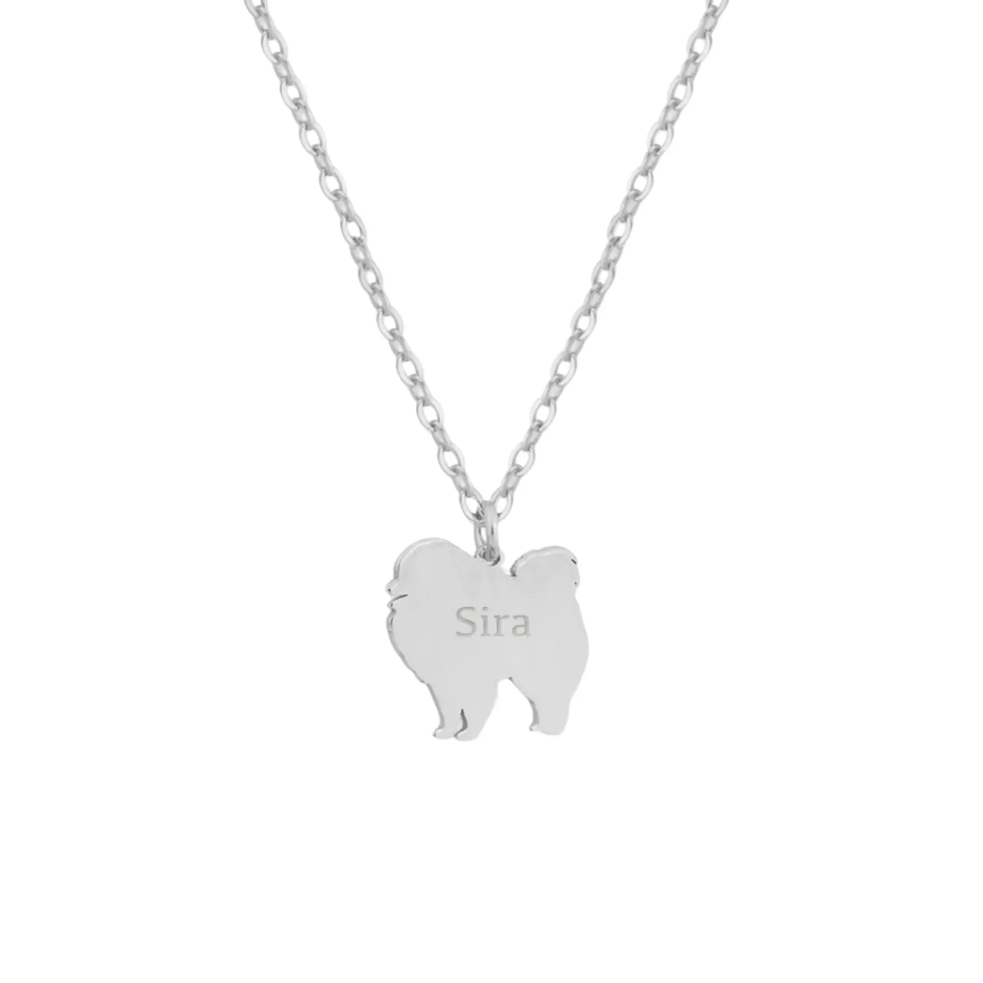 Gargantilla de perro pomerania personalizada plata 1