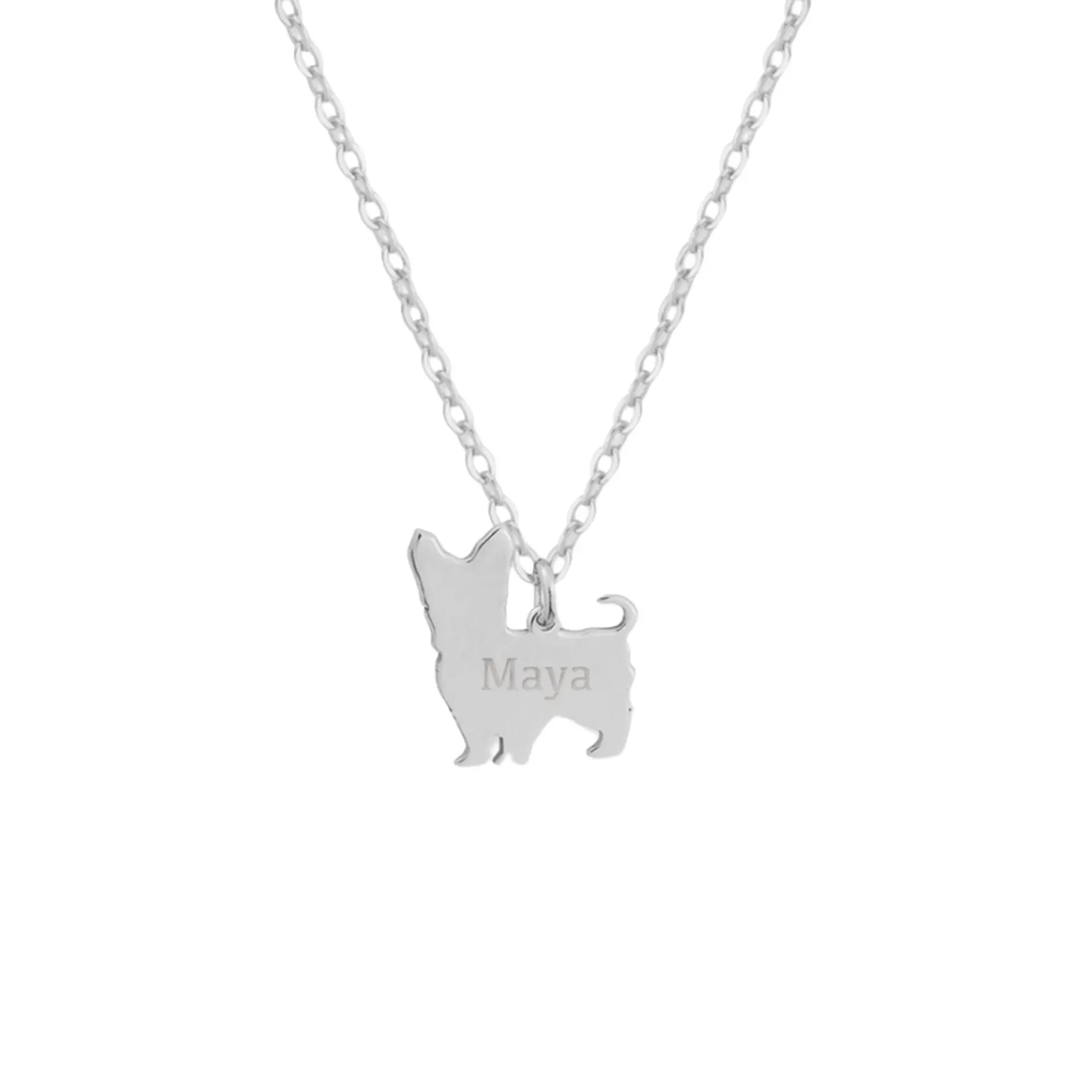 Gargantilla de perro yorkshire personalizada plata 1