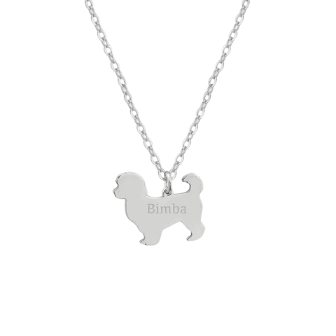 Gargantilla de perro bichón maltés personalizada plata