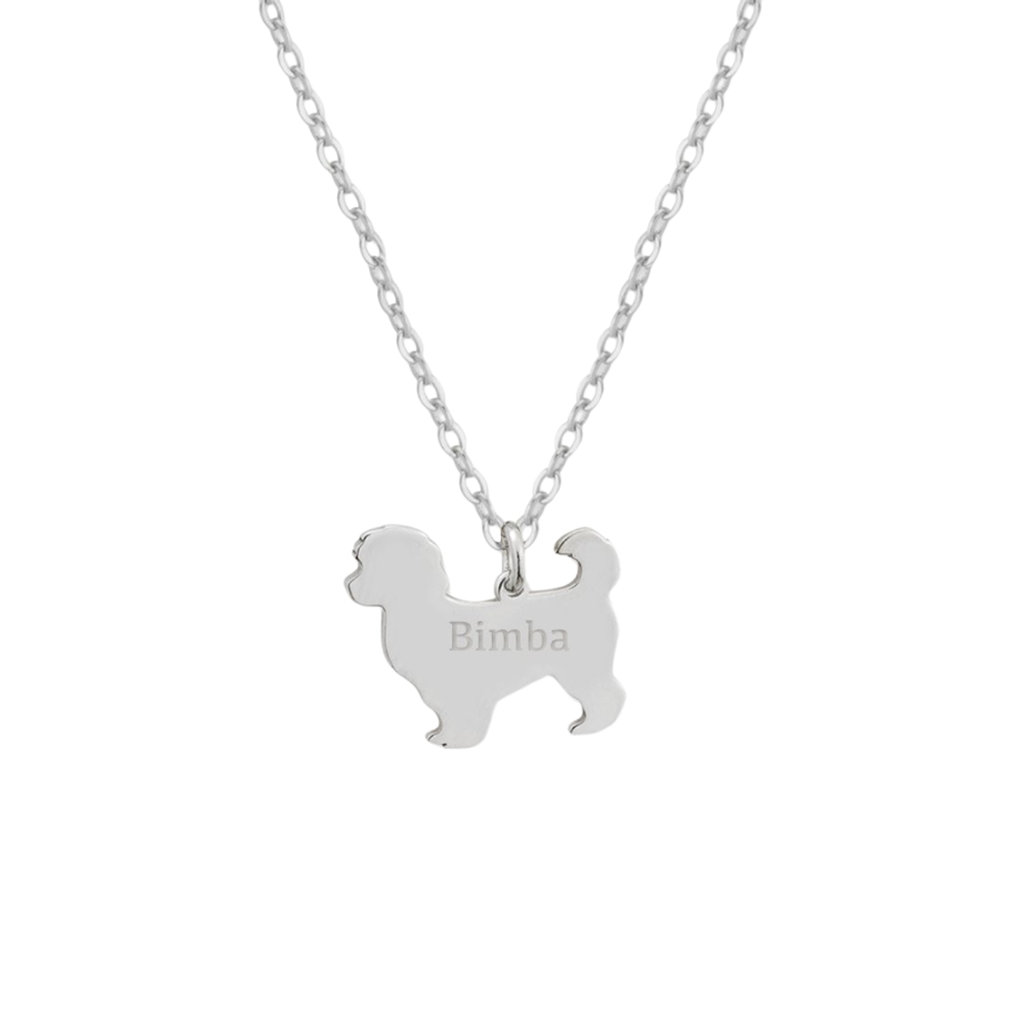 Gargantilla de perro bichón maltés personalizada plata 1