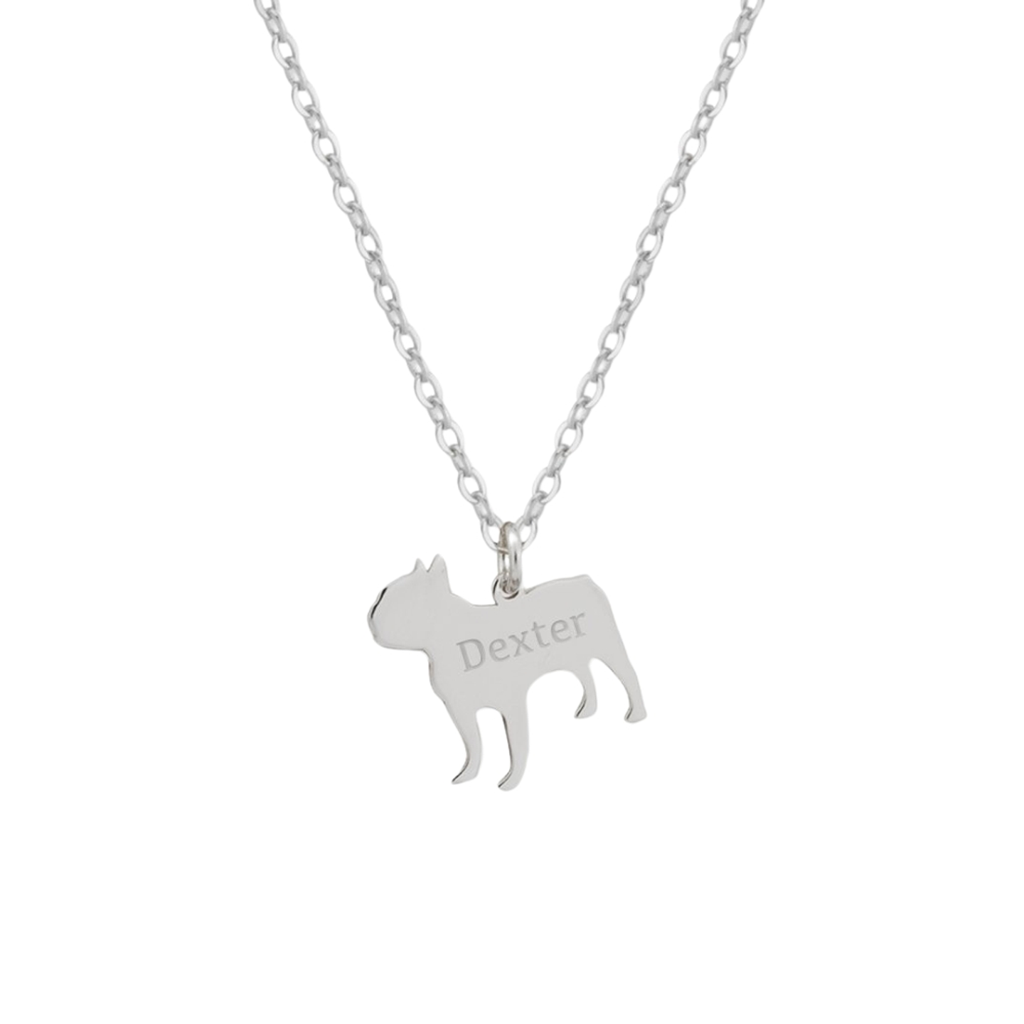 Gargantilla de perro bulldog francés personalizada plata 1
