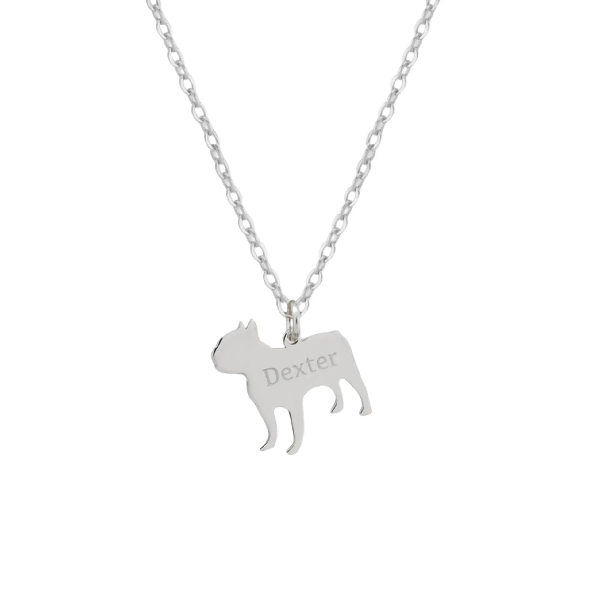 Gargantilla de perro bulldog francés personalizada plata 1