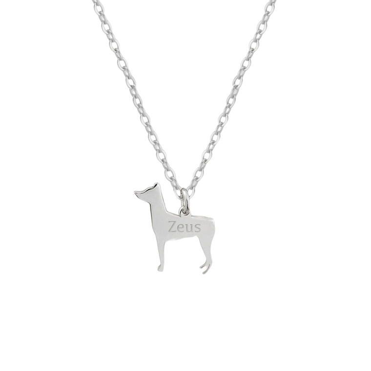 Gargantilla de perro pinscher personalizada plata 1