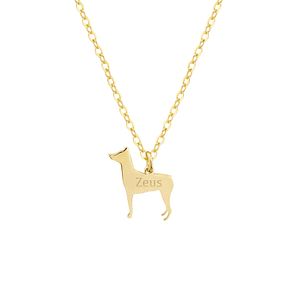 Gargantilla de perro pinscher personalizada plata