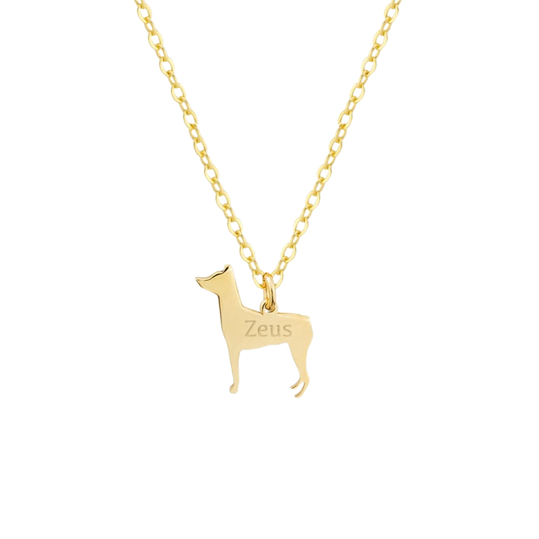 Gargantilla de perro pinscher personalizada plata 1