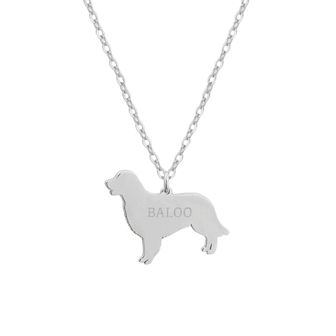 Gargantilla de perro golden retriever personalizada plata