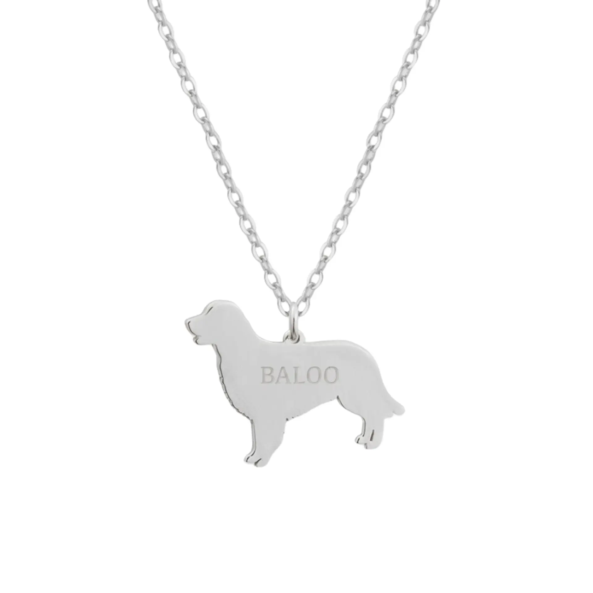 Gargantilla de perro golden retriever personalizada plata 1