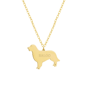Gargantilla de perro golden retriever personalizada plata con baño de oro 