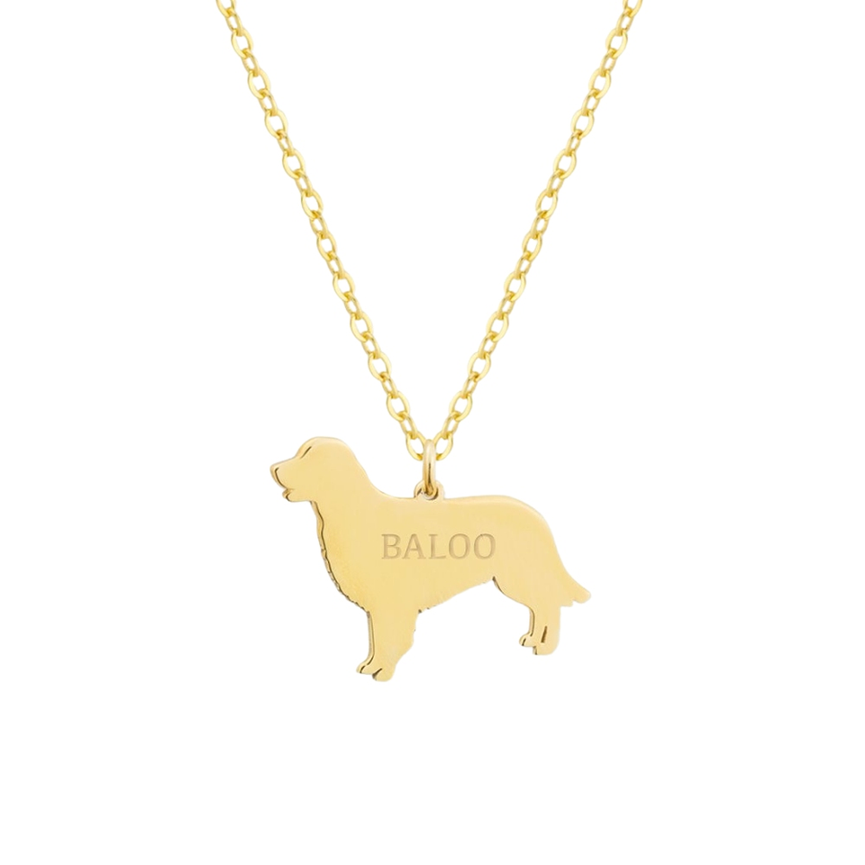 Gargantilla de perro golden retriever personalizada plata con baño de oro  1