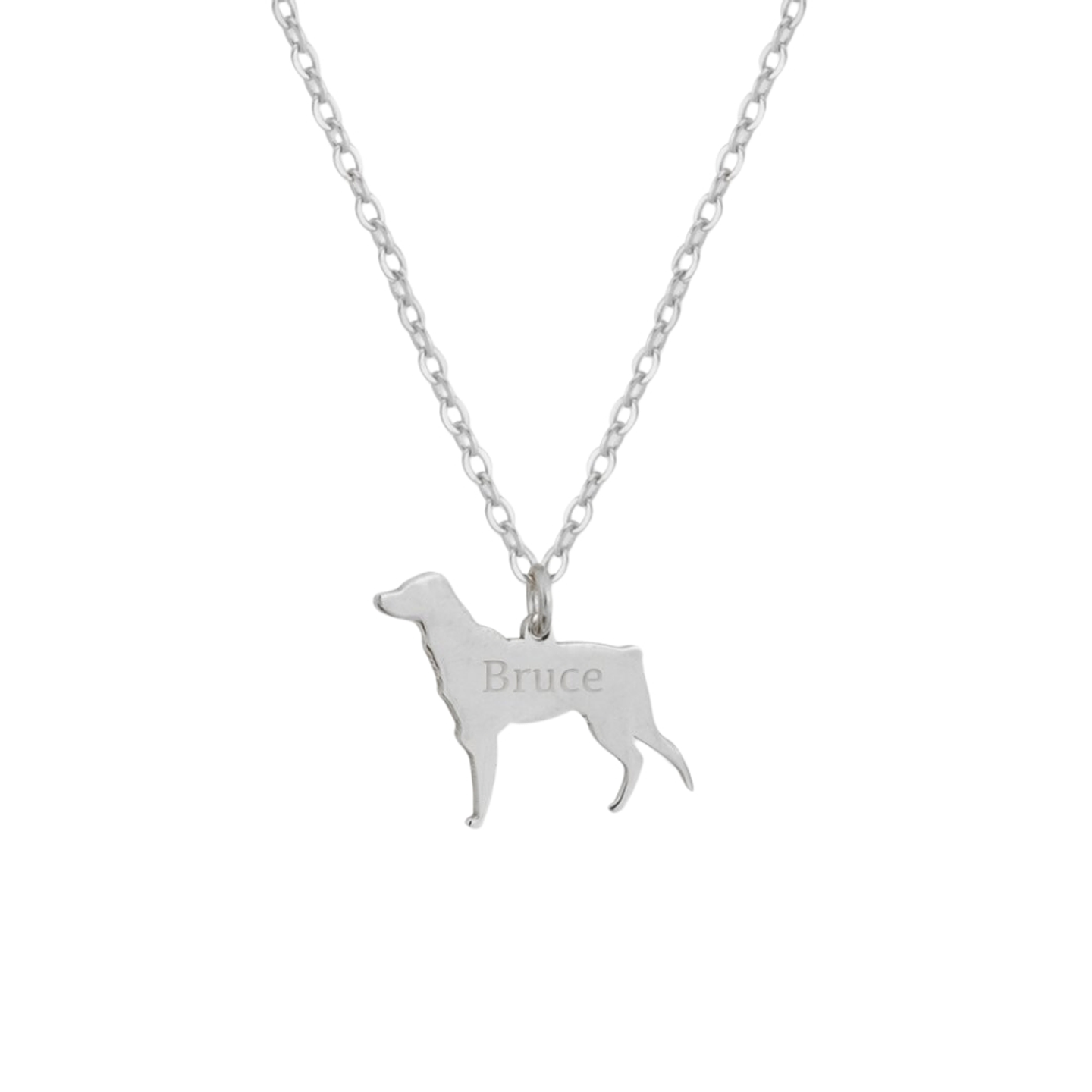 Gargantilla de perro bretón personalizada plata 1
