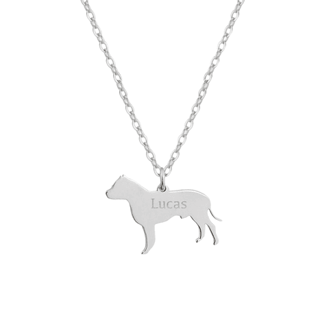 Gargantilla de perro pitbull personalizada plata