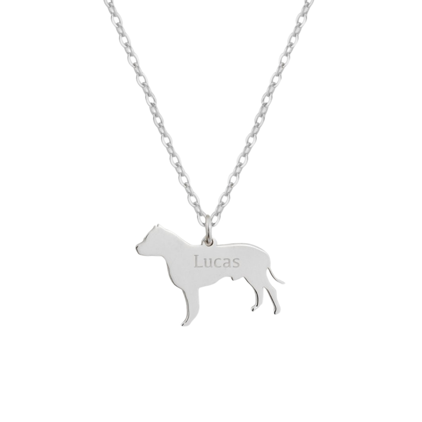 Gargantilla de perro pitbull personalizada plata 1