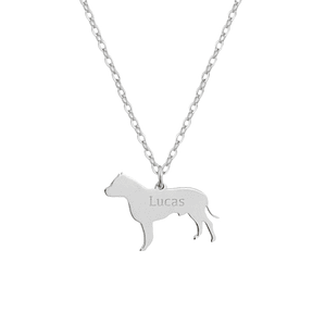Gargantilla de perro pitbull personalizada plata