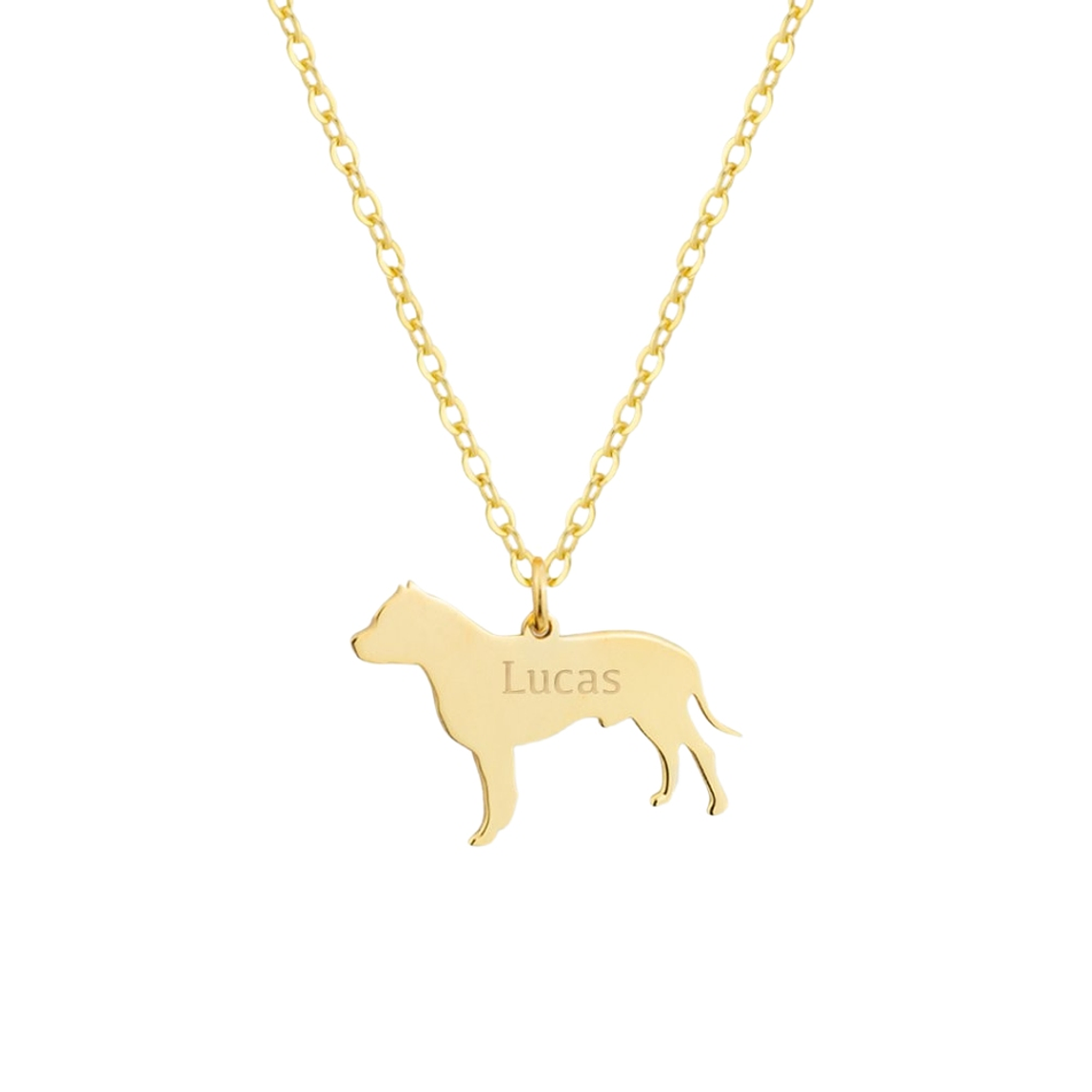 Gargantilla de perro pitbull personalizada plata con baño de oro 1