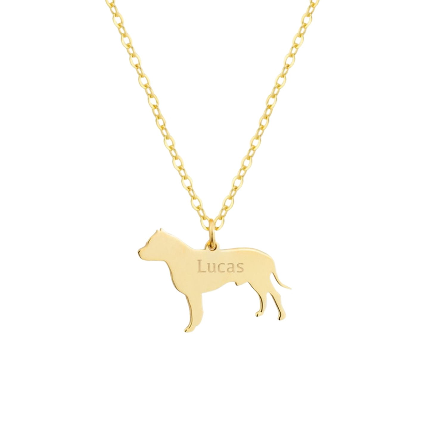 Gargantilla de perro pitbull personalizada plata con baño de oro 1