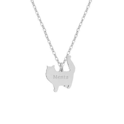 Gargantilla de gato pelo largo personalizada plata 