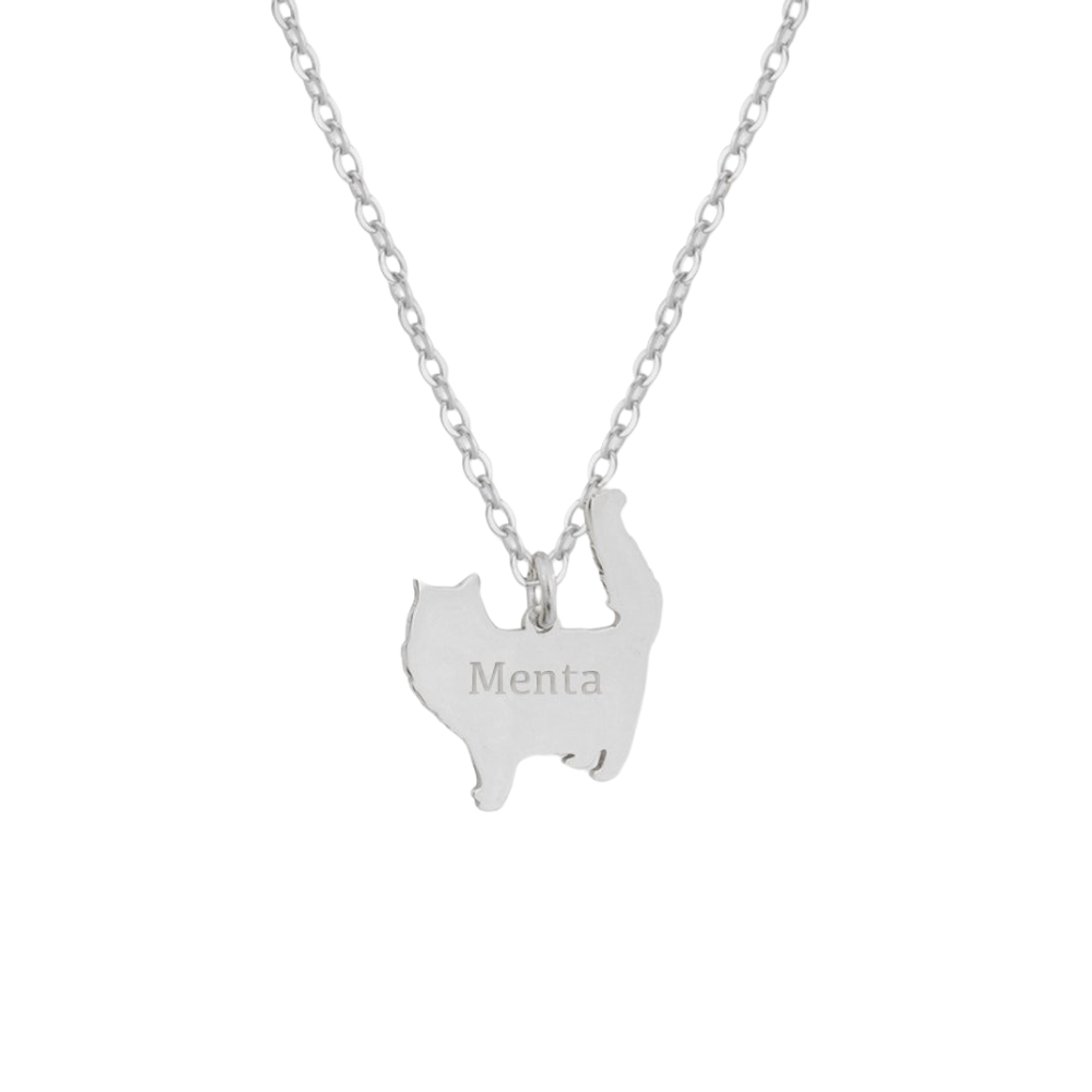 Gargantilla de gato pelo largo personalizada plata  1
