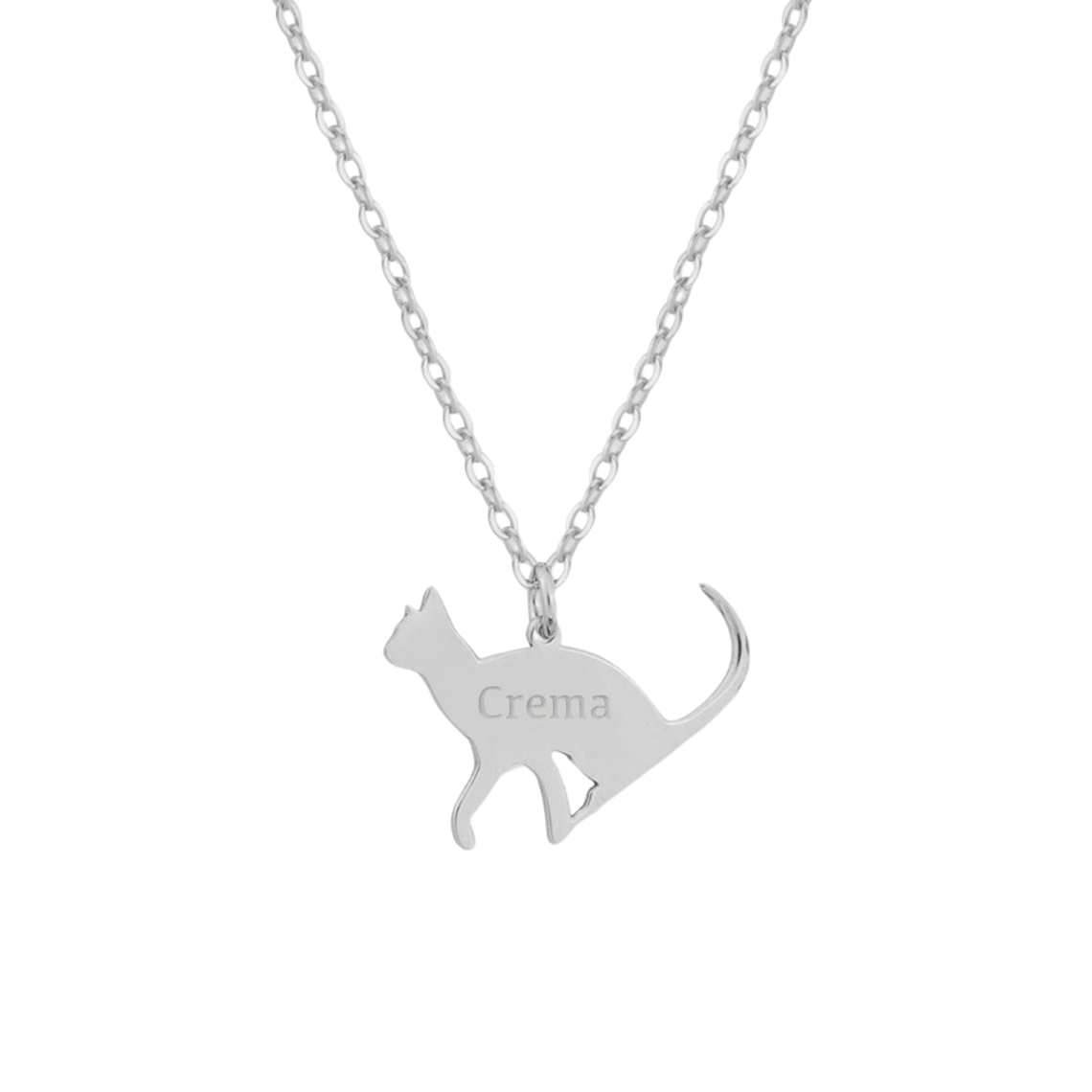 Gargantilla de gato personalizada plata 1