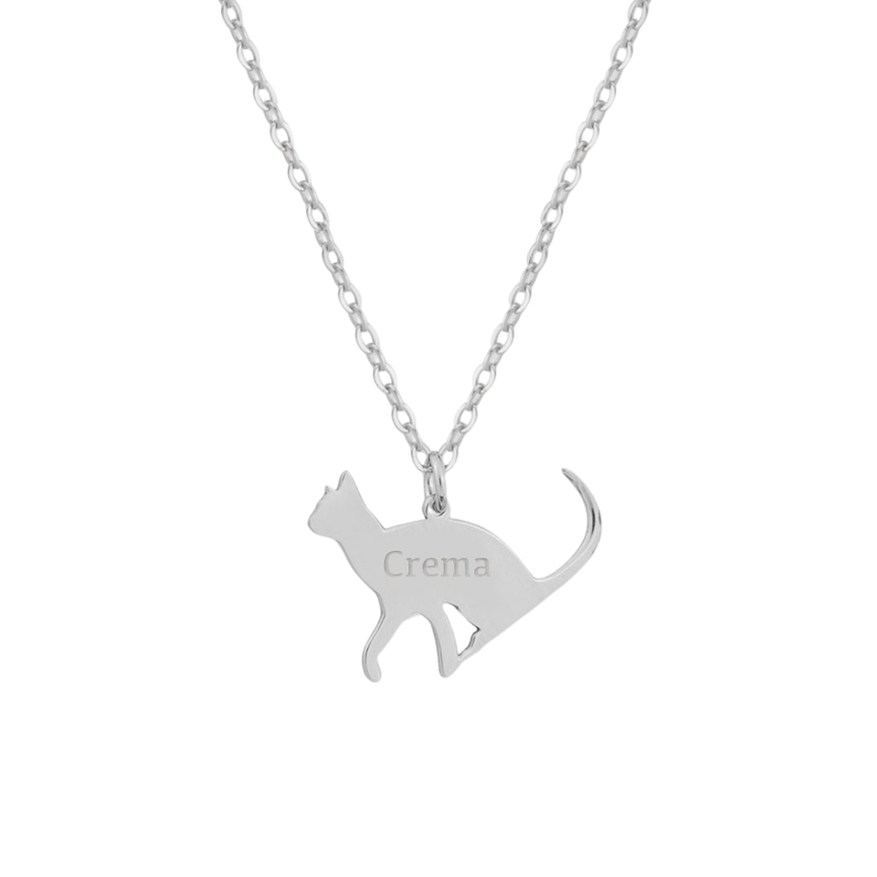 Gargantilla de gato personalizada plata 1