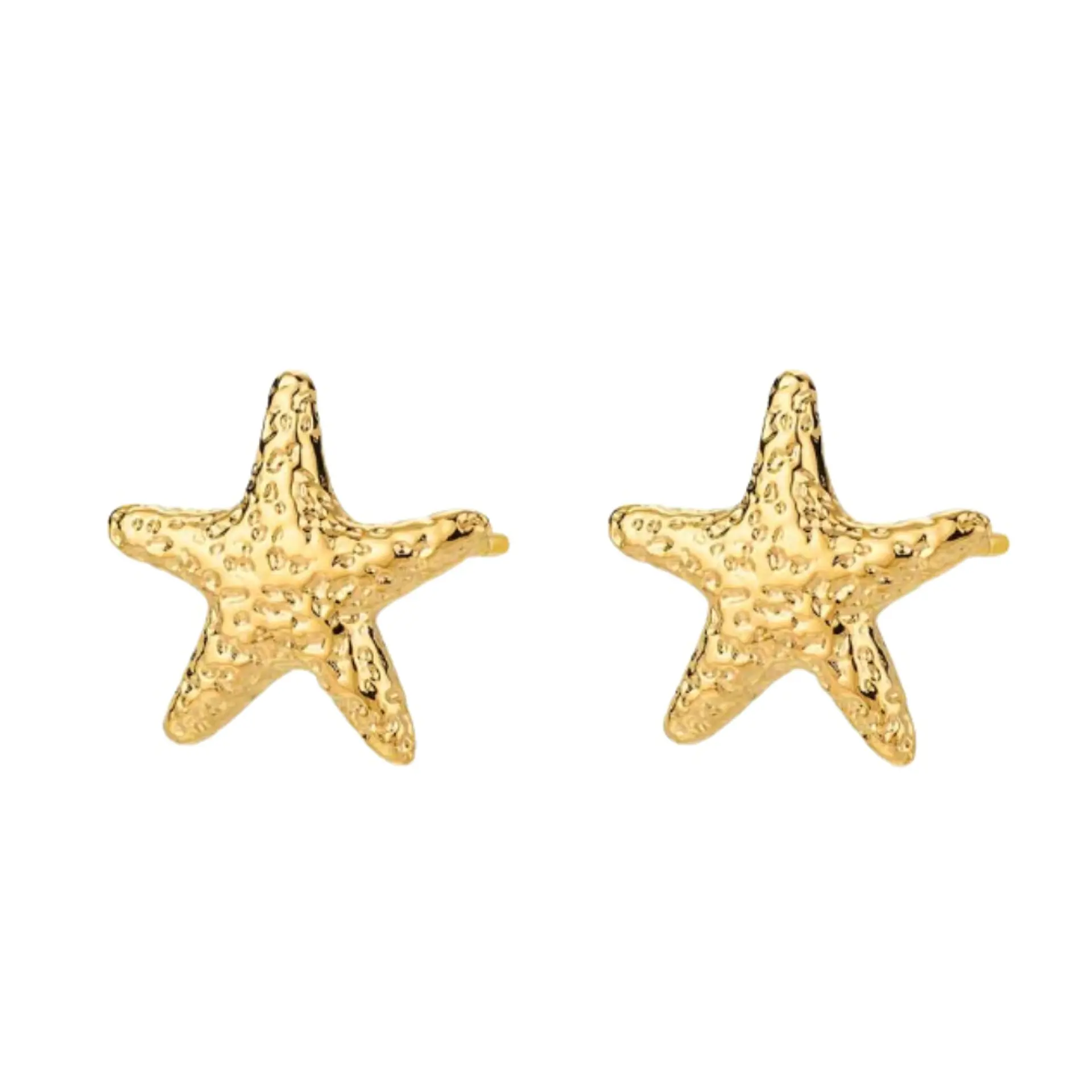 Pendientes estrella de mar acero  1