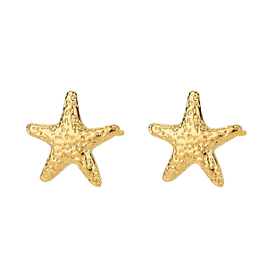 Pendientes estrella de mar acero 