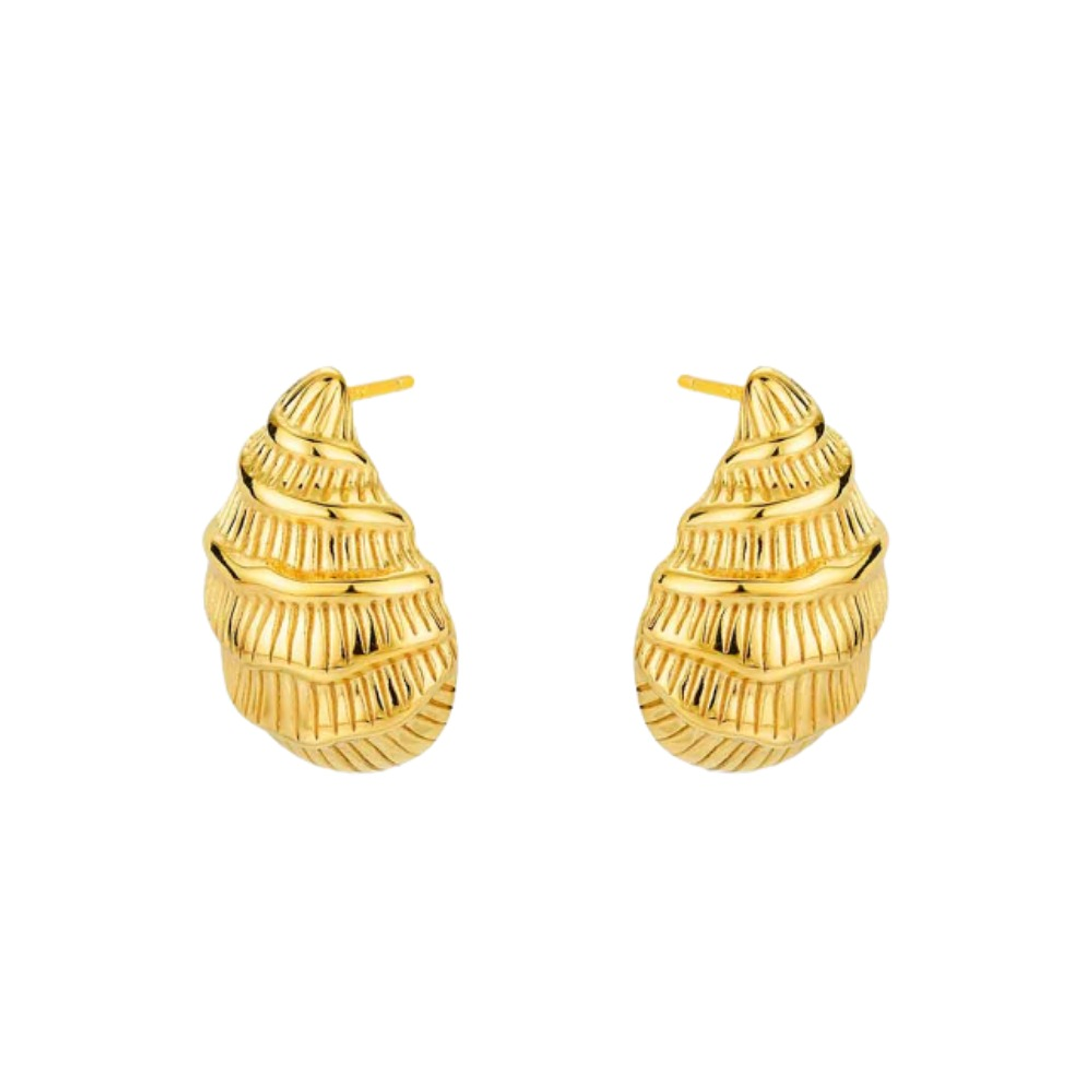 Pendientes de caracola 1