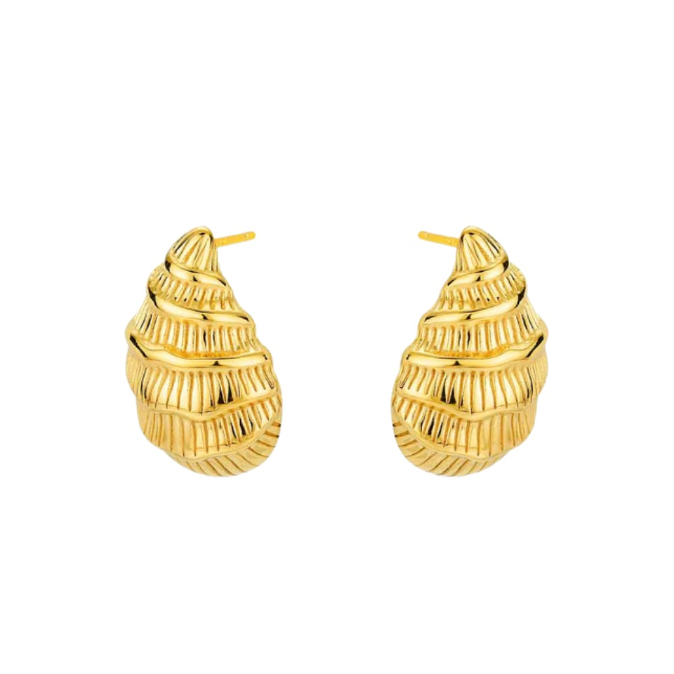 Pendientes de caracola 1