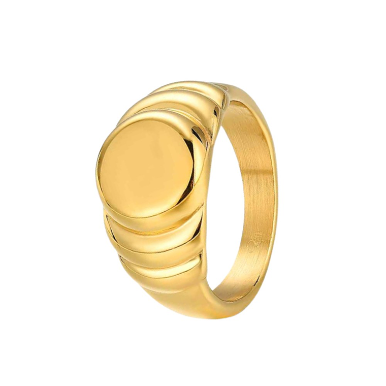 Anillo de sello brazo gallonado acero  1