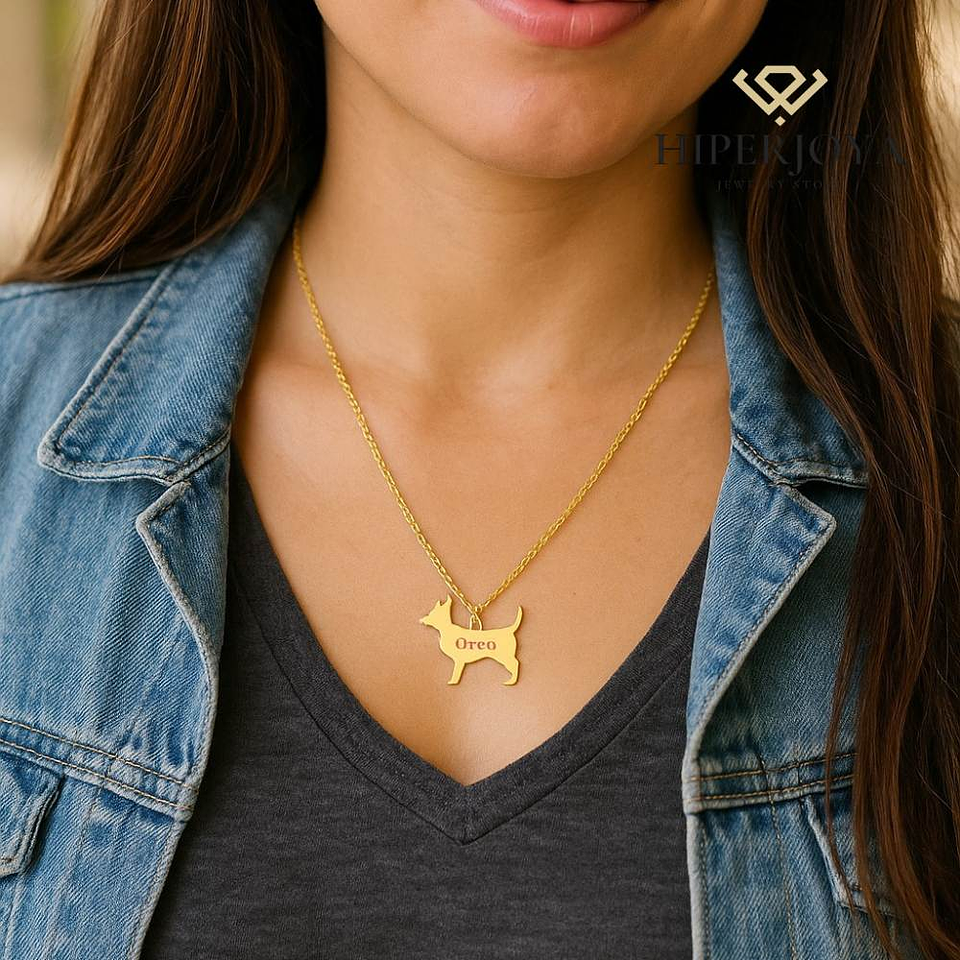 Gargantilla de perro chiguagua personalizada plata con baño de oro  2