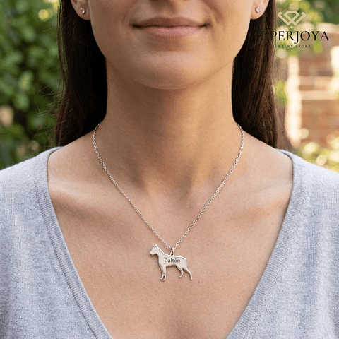 Gargantilla de perro boxer personalizada