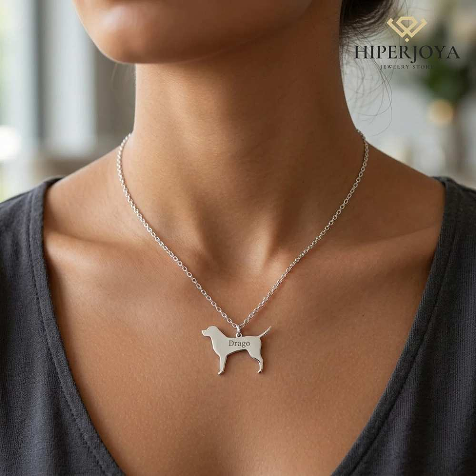 Gargantilla de perro labrador personalizada 2