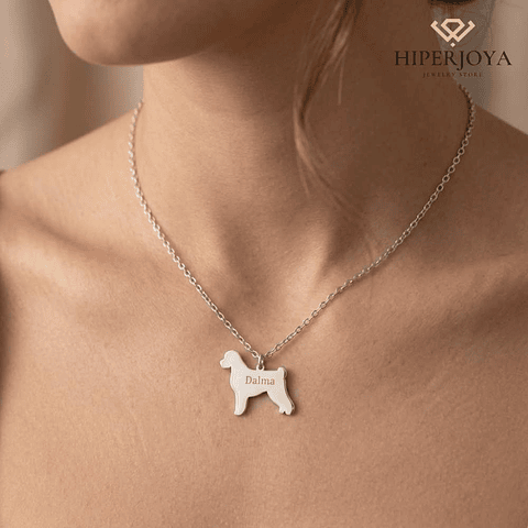 Gargantilla perro de agua personalizada 