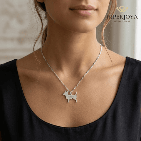 Gargantilla de perro chiguagua personalizada plata