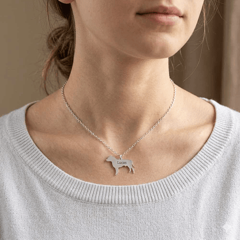 Gargantilla de perro pitbull personalizada plata