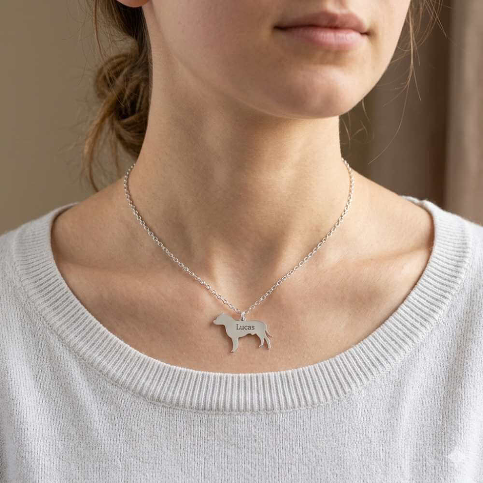 Gargantilla de perro pitbull personalizada plata 2