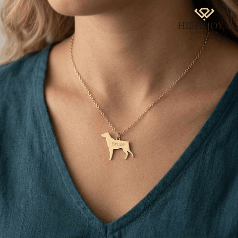 Gargantilla de perro bretón personalizada plata