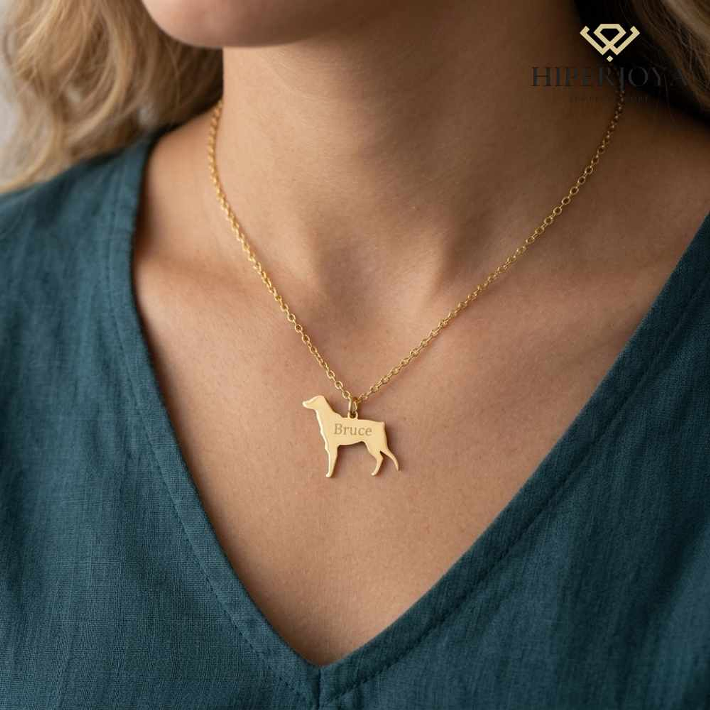 Gargantilla de perro bretón personalizada plata 2