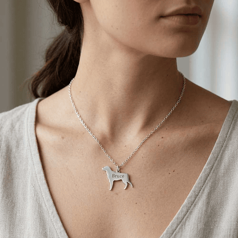 Gargantilla de perro bretón personalizada plata