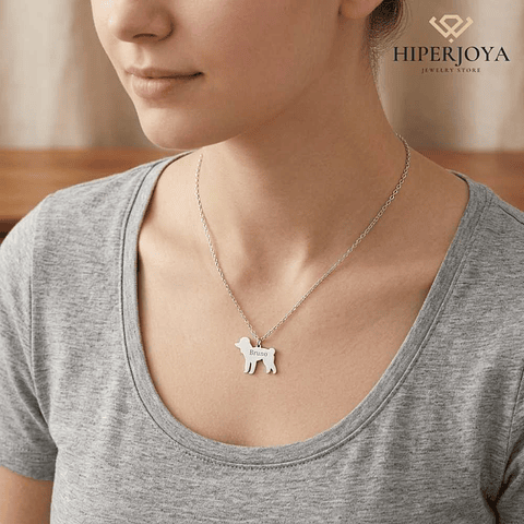 Gargantilla de perro caniche personalizada plata