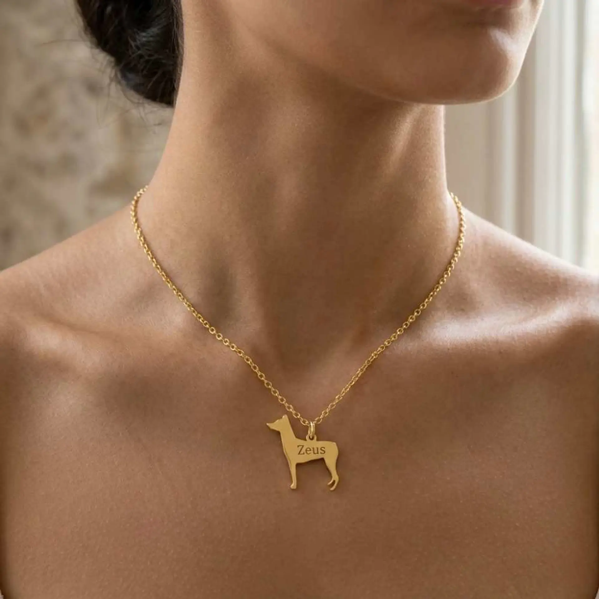 Gargantilla de perro pinscher personalizada plata 2