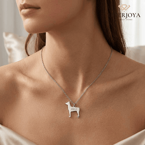 Gargantilla de perro pinscher personalizada plata